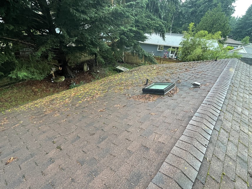 Roof Cleaning Excellence in Port Orchard, WA